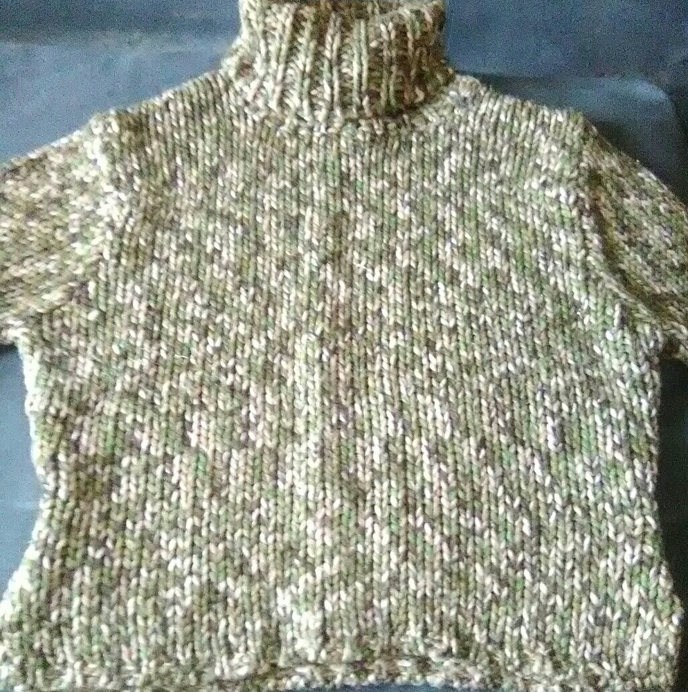 Turtle neck Cropped Sweater